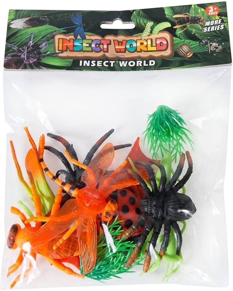 Insect 