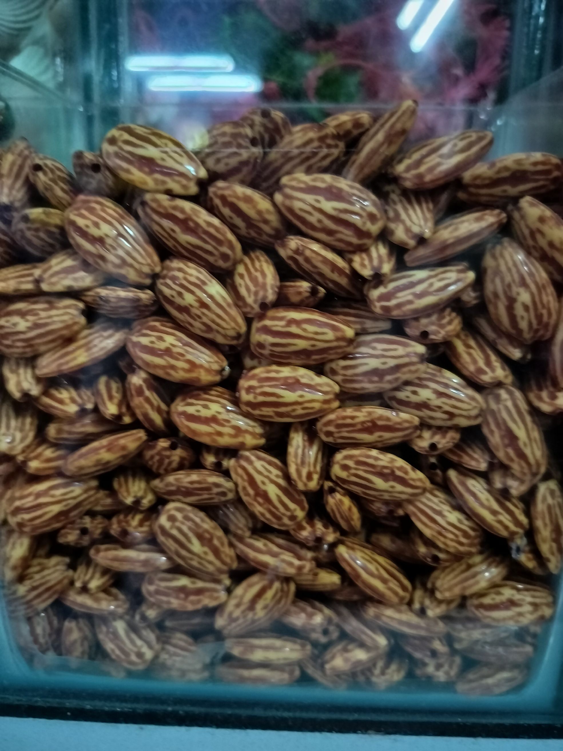 Padam