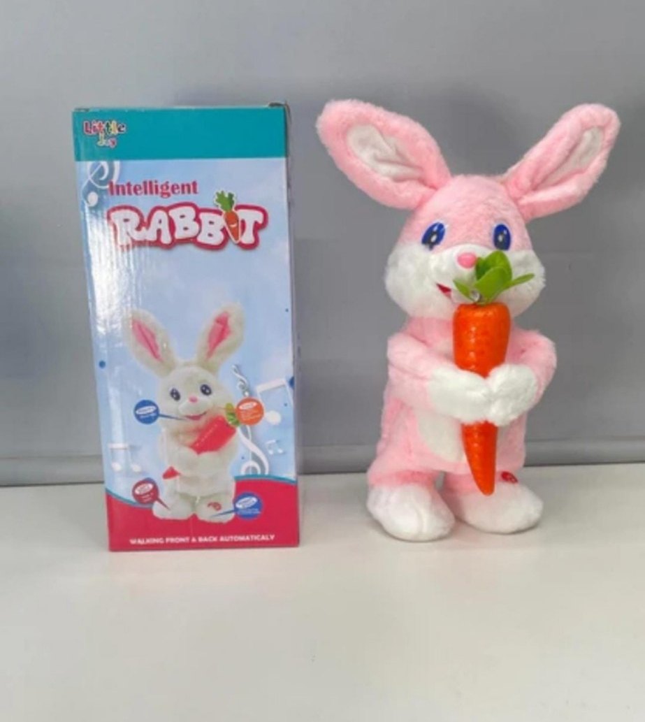 Intelligent rabbit