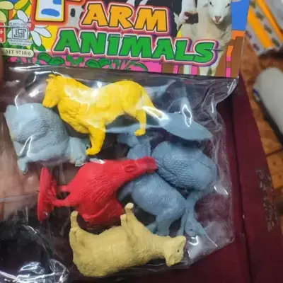 Animal